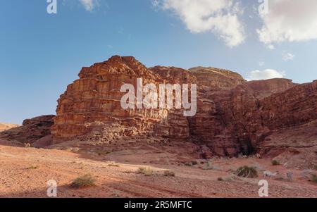 Groupe de chameaux paître sur de petits arbustes dans le sable rouge orange du désert de Wadi Rum, hauts montagnes rocheuses arrière-plan Banque D'Images