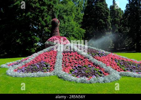 Île du lac Constance Mainau, figurines animales en fleurs, figurine paon Banque D'Images