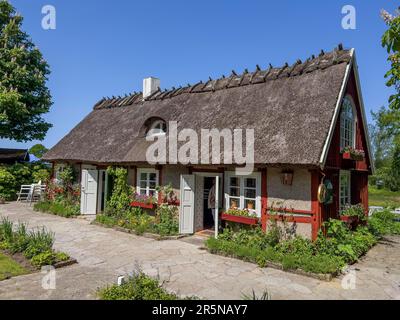 Maison de chaume, rustique, romantique, café, Flickorna Lundgren Pa Skaeret, Skaeret, Kullen Peninsula, Skane, Skane, Skane laen, sud Banque D'Images