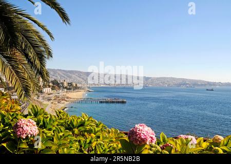 Vue de Vina del Mar à Valparaiso, région de Valparaiso, Chili Banque D'Images