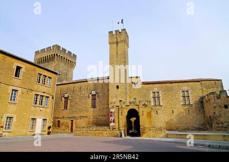 Château de l'Emperi, Musée, Musée d'Histoire militaire, salon-de-Provence, Bouches-du-Rhône, Sud de la France Banque D'Images