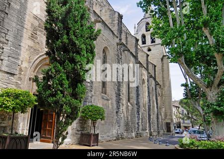 Église Saint Didier, Avignon, Provence, Sud de la France, France Banque D'Images