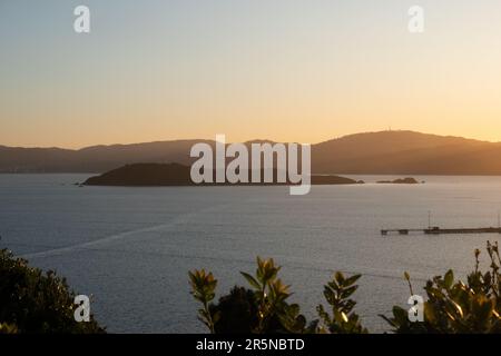 Vue sur l'île de Somes dans le port de Wellington, Nouvelle-Zélande Banque D'Images