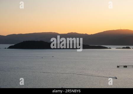 Vue sur l'île de Somes dans le port de Wellington, Nouvelle-Zélande Banque D'Images