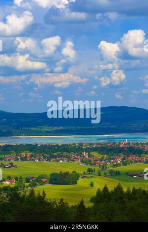 Schwangau, Lac Forggensee, Allgau, près de Fussen, Bavière, Allemagne Banque D'Images