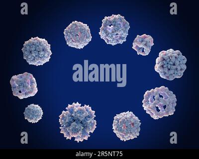 Nanoparticules de protéines, illustration Banque D'Images