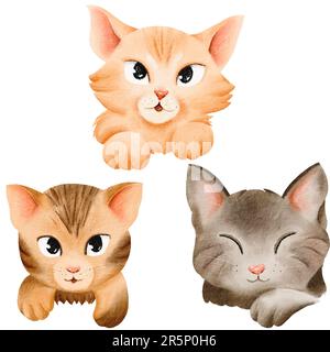 Un ensemble de chats amusants et mignons. Animaux de compagnie doux à rayures, visages doux et mignons et différentes émotions. Grandes oreilles et yeux. Éléments aquarelle isolés Banque D'Images