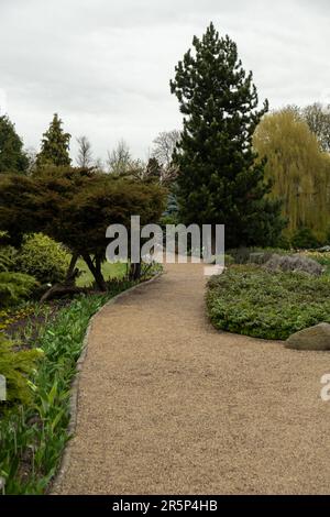 Sentier à travers des plantes vertes luxuriantes dans le jardin botanique de Wroclaw, Pologne. Espaces verts et bois dans le parc de la ville. Chemin de rue vide pour la course à pied ou à pied et à vélo détendez-vous dans le parc sur terrain d'herbe verte sur le côté concept de fond Banque D'Images