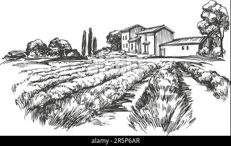 Beau paysage rural d'été d'un champ de lavande avec une maison rustique, un voyage en Europe, dessin vectoriel dessiné à la main dessin réaliste Illustration de Vecteur