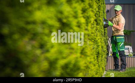 Le jardinier professionnel caucasien dans son mur vert de 40s de Thuja à l'aide de trimmer électrique sans fil de haie Banque D'Images