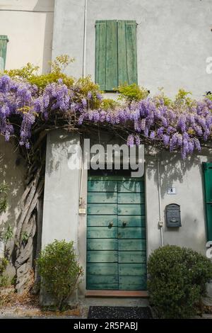 ancienne maison avec portes en bois vert et volets sur les fenêtres. La glycine fleurit sur la façade du bâtiment. Province européenne Banque D'Images