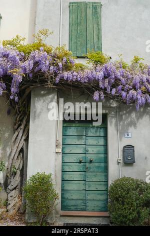 ancienne maison avec portes en bois vert et volets sur les fenêtres. La glycine fleurit sur la façade du bâtiment. Province européenne Banque D'Images