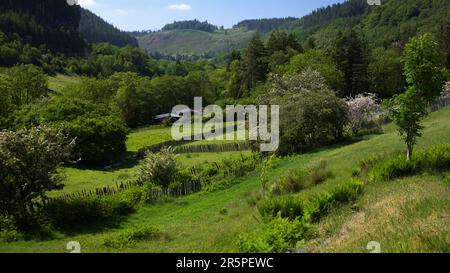 Vue près de Corris Gwynedd Wales UK Banque D'Images