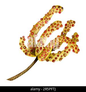 Aquarelle du fruit Cecropia en rouge jaune sur l'illustration de la branche. Clipart de plantes tropicales amérindiennes, dessin de fantaisie Banque D'Images