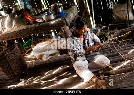 Une des femmes aînées Oro Win tisse un panier de vignes forestières, Sao Luis Indian Post, bassin de l'Amazone, Brésil. Banque D'Images