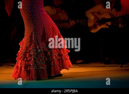 Un danseur Flamenco, ou huislaora, se produit à Prado del Rey, province de Cadix, Andalousie, Espagne. Banque D'Images