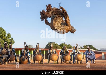 Des images PALPITANTES des Senoufo qui font l'étonnante danse Panther ont été capturées en Côte d'Ivoire. Images prises à Korhogo, Côte d'Ivoire Banque D'Images