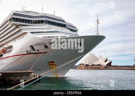 Bateau de croisière Carnival Splendor amarré au terminal passagers d'outre-mer, Circular Quay, Sydney, NSW, Australie Banque D'Images