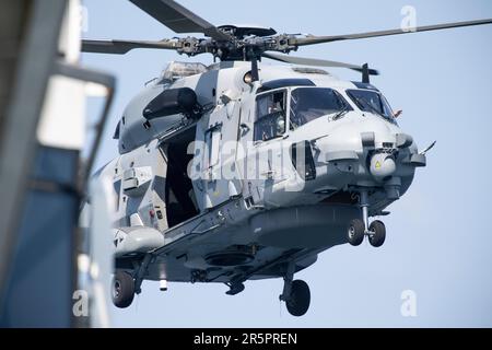 Mer celtique, France. 05 juin 2023. Un hélicoptère NHIndustries NH90 de la Marine française effectue un sauvetage en mer à bord d’un navire de croisière « Anthem of the Seas » de la Royal Caribbean. Un passager a été transporté par avion pour atterrir. Credit: Benjamin Wareing/ Alamy Live News Banque D'Images