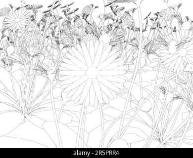 Ensemble de draps de fleurs différents sur fond blanc. Herbe aux herbes et fleurs sauvages. Contour vectoriel isolé de prairie florale. Contour noir de gras Illustration de Vecteur