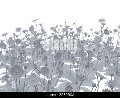 Ensemble de fleurs différentes sur fond blanc. Herbe aux herbes et fleurs sauvages. Vecteur polygonal isolé de prairie florale. Polygonale grise d'herbe, Illustration de Vecteur