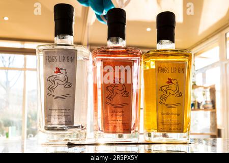 Trois bouteilles de Frog's Lip Gin en démonstration et en vente. Banque D'Images