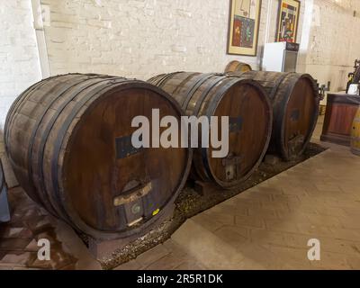 Fûts de vin d'époque dans le musée de la cave de vinification de la Abjea, San Rafael, Argentine. La Abeja est la plus ancienne cave de vinification de San Rafael, fondée en 1883. Banque D'Images