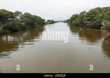 Vue sur le canal de la réserve de s’Albufera, Albufera, Majorque, Espagne, 30 mai 2023 Banque D'Images