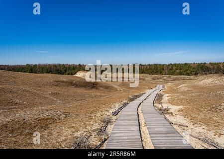 Sentier en bois sur les Dead Dunes, ou Gray Dunes, Curonian Spit, Neringa, Lituanie Banque D'Images