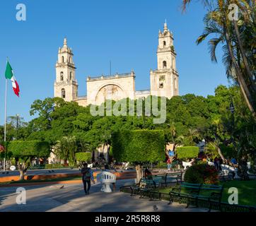 Place principale de la ville de Plaza Grande, église de la cathédrale de San Ildefonso, Merida, État du Yucatan, Mexique achevé en 1598 Banque D'Images