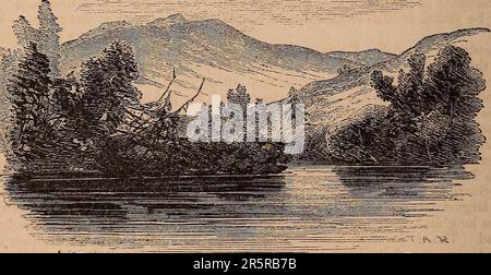 Manuel illustré d'Appletons sur le voyage américain. Un guide complet et fiable ... à ... Les États-Unis et les provinces britanniques. Avec des cartes détaillées de toutes les régions du pays, et des photos de lieux et scènes célèbres, à partir de dessins originaux de l'auteur et d'autres artistes Banque D'Images