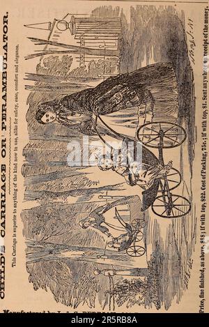 Manuel illustré d'Appletons sur le voyage américain. Un guide complet et fiable ... à ... Les États-Unis et les provinces britanniques. Avec des cartes détaillées de toutes les régions du pays, et des photos de lieux et scènes célèbres, à partir de dessins originaux de l'auteur et d'autres artistes Banque D'Images