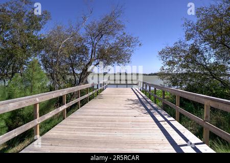 Quiaios, Portugal - 14 août 2022: Passerelle en bois et plate-forme d'observation adjacente à la lagune appelée Lagoa das Bracas Banque D'Images