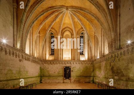 France, Seine-Maritime (76), Saint-Martin-de-Boscherville, Abbaye de Saint-Georges, Festival pierres en Lumières, salle du Chapitre illuminée Banque D'Images