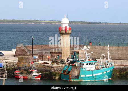 Bateaux de pêche dans le port de Dunmore East, comté de Waterford, Irlande Banque D'Images