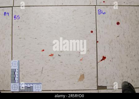 Craquement de sang sur un sol carrelé Banque D'Images