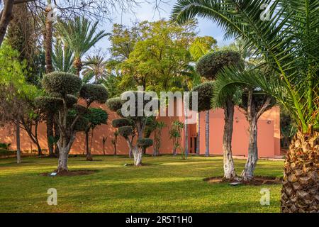 Maroc, Marrakech, ville impériale, le jardin historique Arsat Moulay Abdeslam fondé au 18e siècle devient le Cyber Park Arsat Moulay Abdeslam, un jardin éducatif et un espace culturel reliés par des réseaux Wi-Fi haut débit gratuits et des bornes interactives Banque D'Images