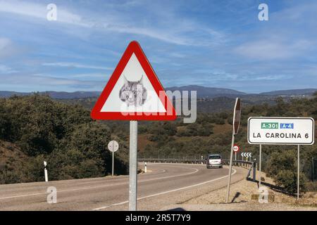 Espagne, Andalousie, Sierra Morena, Sierra de Andújar, Parc naturel de la Sierra de Andújar, signalisation routière pour protéger le lynx ibérique Banque D'Images