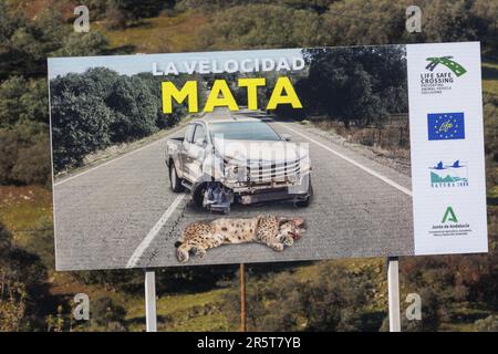 Espagne, Andalousie, Sierra Morena, Sierra de Andújar, Parc naturel de la Sierra de Andújar, signalisation routière pour protéger le lynx ibérique Banque D'Images