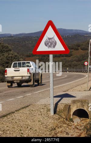 Espagne, Andalousie, Sierra Morena, Sierra de Andújar, Parc naturel de la Sierra de Andújar, signalisation routière pour protéger le lynx ibérique Banque D'Images