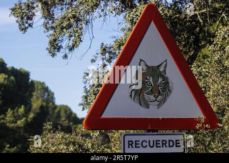 Espagne, Andalousie, Sierra Morena, Sierra de Andújar, Parc naturel de la Sierra de Andújar, signalisation routière pour protéger le lynx ibérique Banque D'Images