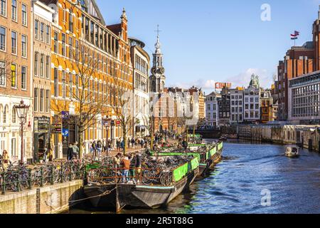 Pays-Bas, province de Hollande du Nord, Amsterdam, le Bloemenmarkt est un marché aux fleurs néerlandais établi en permanence à Amsterdam. Situé sur le Singel et s'étendant entre Muntplein et Koningsplein, c'est le seul marché aux fleurs flottant au monde Banque D'Images