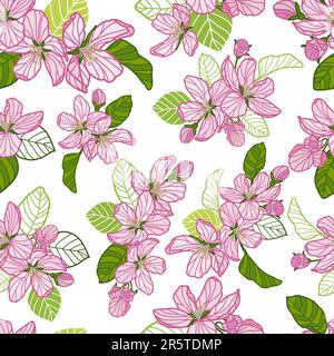 Motif de fleurs de pommier à motif vectoriel sans couture. Fond floral printanier. Illustration de Vecteur