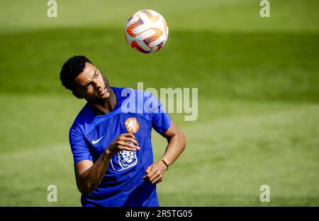 ZEIST - Cody Gakpo lors d'un stage de formation de l'équipe nationale néerlandaise au campus KNVB sur 5 juin 2022 à Zeist, pays-Bas. L'équipe nationale néerlandaise prépare la demi-finale de la Ligue des Nations de l'UEFA contre la Croatie. ANP ROBIN VAN LONKHUIJSEN Banque D'Images