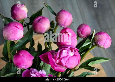 Un bouquet de pivoines est placé dans un vase sur une table ronde en bois Banque D'Images