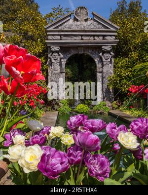 Sussex, Royaume-Uni - 29 avril 2023 : de magnifiques tulipes dans les jardins du château historique d'Arundel à Arundel, dans l'ouest du Sussex. Banque D'Images