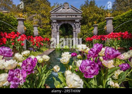 Sussex, Royaume-Uni - 29 avril 2023 : de magnifiques tulipes dans les jardins du château historique d'Arundel à Arundel, dans l'ouest du Sussex. Banque D'Images