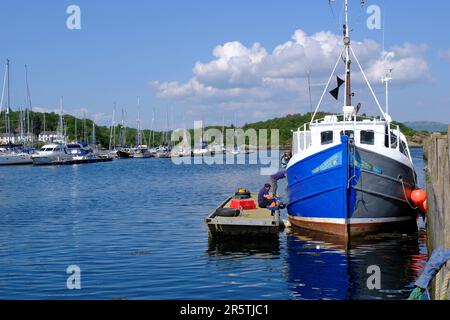 Tarbert, Écosse, Royaume-Uni. 5th juin 2023. Un beau temps chaud et ensoleillé se poursuit sur la côte ouest, les gens appréciant le plein air dans un cadre attrayant avec les villages pittoresques le long de la côte. Peinture de l'entretien du bateau dans le port de Tarbert. Crédit : Craig Brown/Alay Live News Banque D'Images