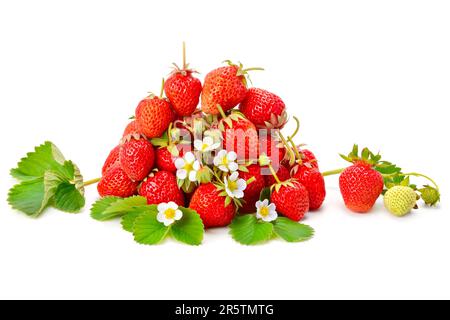 Des fraises fraîches appétissantes isolées sur fond blanc. Banque D'Images