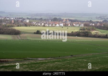 Les moutons se broutent dans les champs au-dessous du château de Maiden à Dorset, avec la nouvelle ville de Poundbury derrière. Banque D'Images